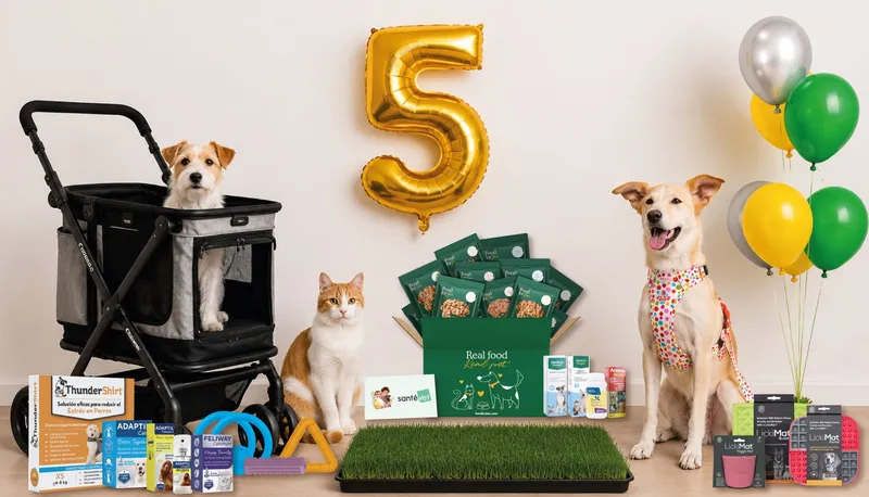 Food for Joe 5 aniversario — perro y gato con caja y globo dorado