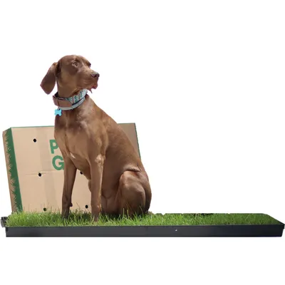 PetGround - Alfombra de césped natural XL