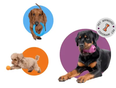 Rucan - Pack de 3 juguetes interactivos