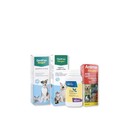 Stangest - Pack de 4 suplementos naturales