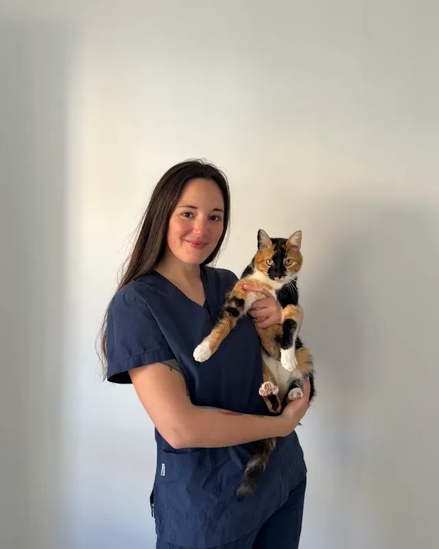 Natalia Amengual — Veterinaria especialista en nutrición animal en Food for Joe